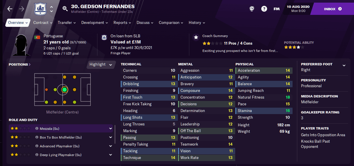 Football Manager 2021 Tottenham Tactic Team Guide FM21 FM Blog