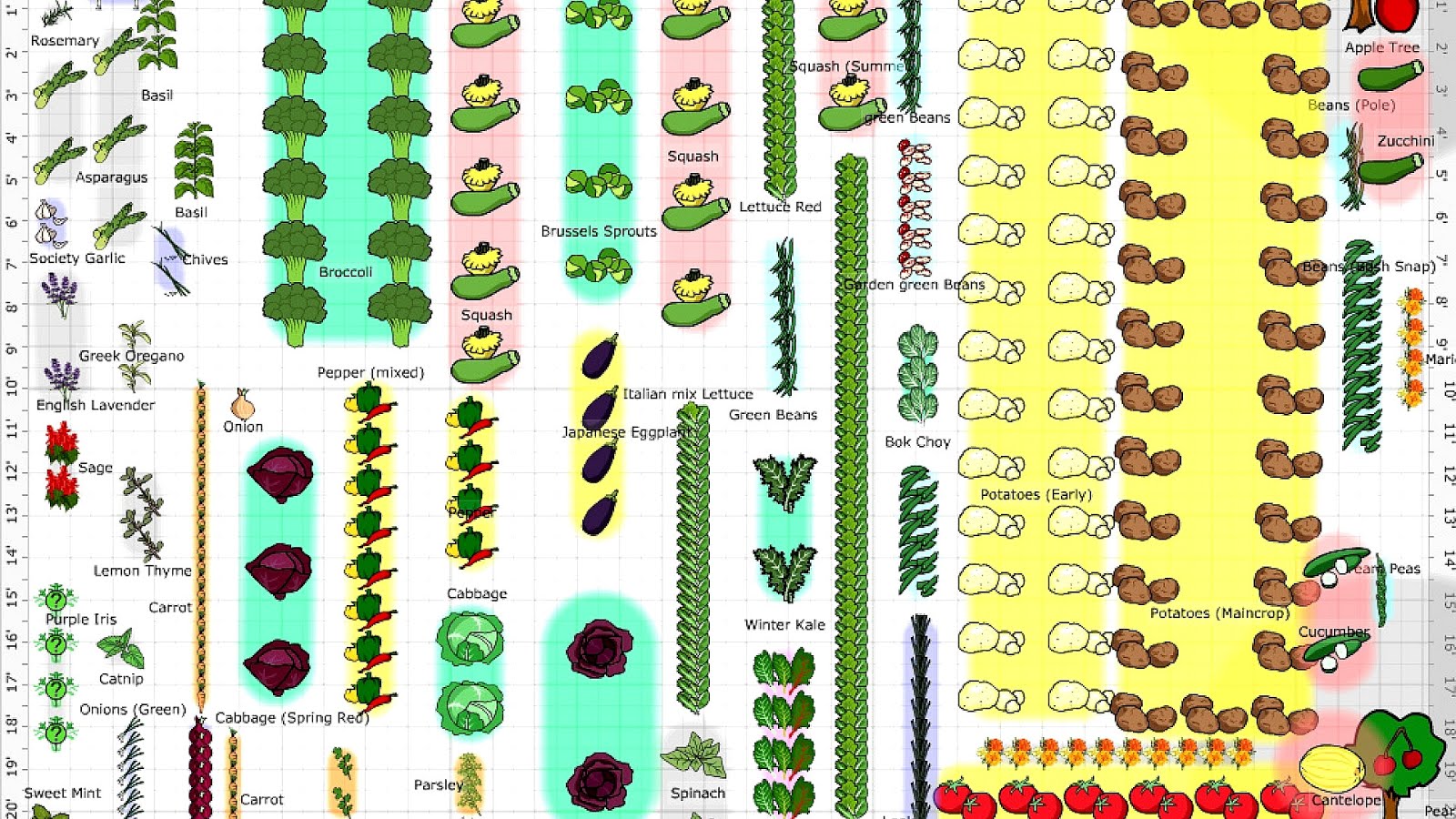 How To Layout A Vegetable Garden - Vege Choices