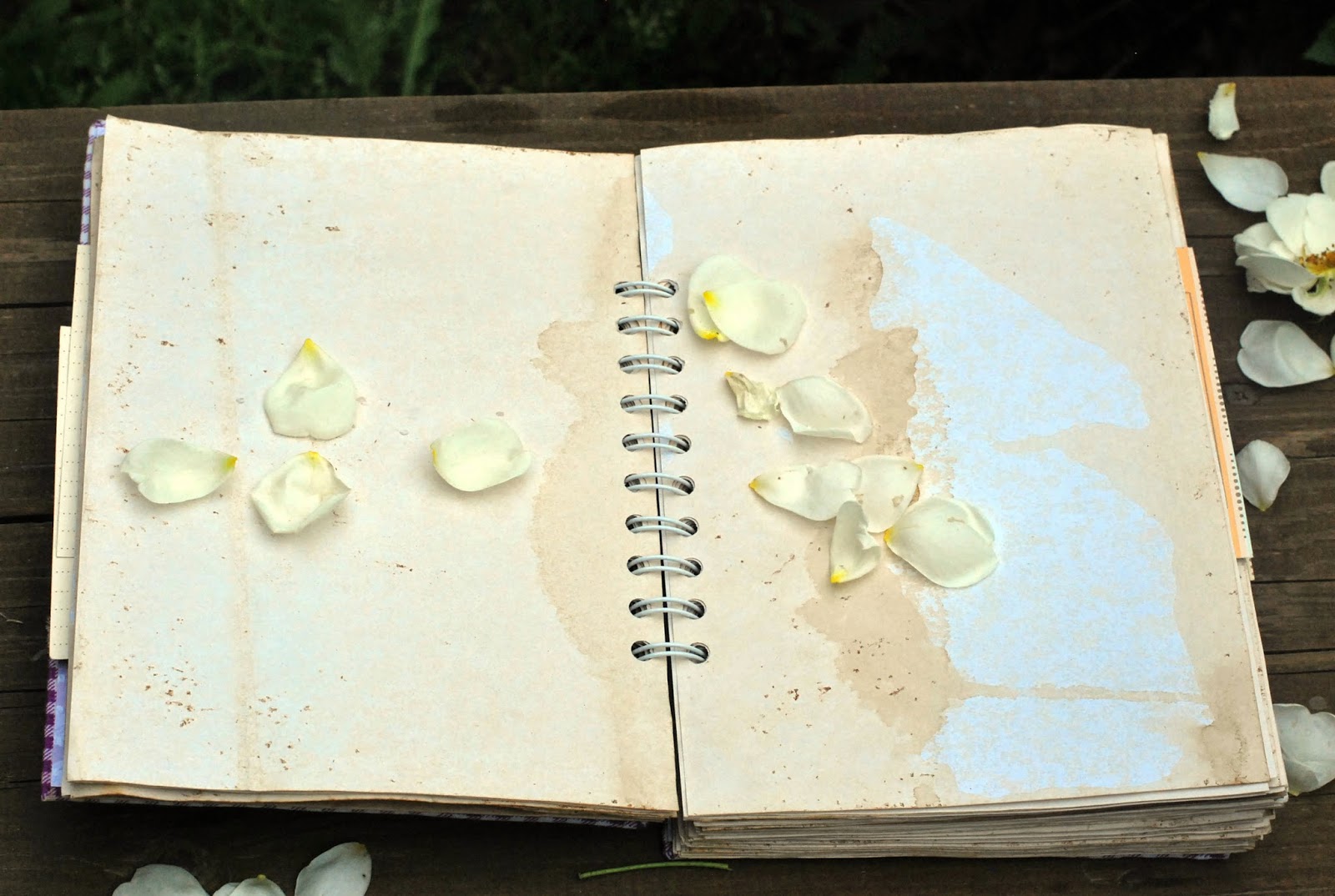 Моя кулинарочка!!