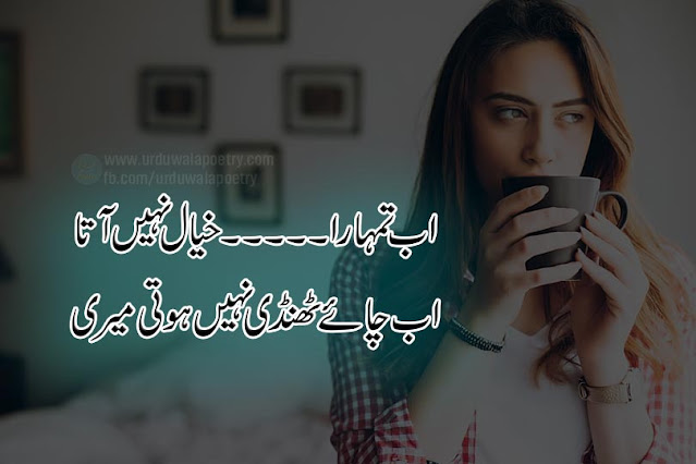 sad-quotes-in-urdu