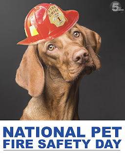 National Pet Fire Safety Day Wishes Images