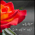 100 Bemarian 101 Ilaj PDF Urdu Book