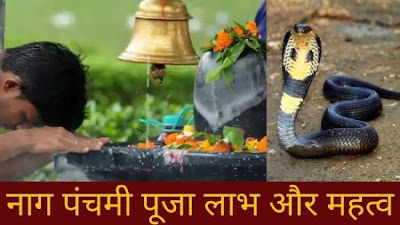 naag panchami, नाग पंचमी पूजा लाभ और महत्व