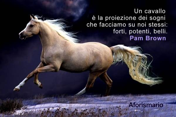 Frasi Sui Cavalli E La Vita Aforismi, frasi e proverbi sul Cavallo | Aforismario