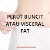 Bahaya visceral fat dan cara mengatasinya