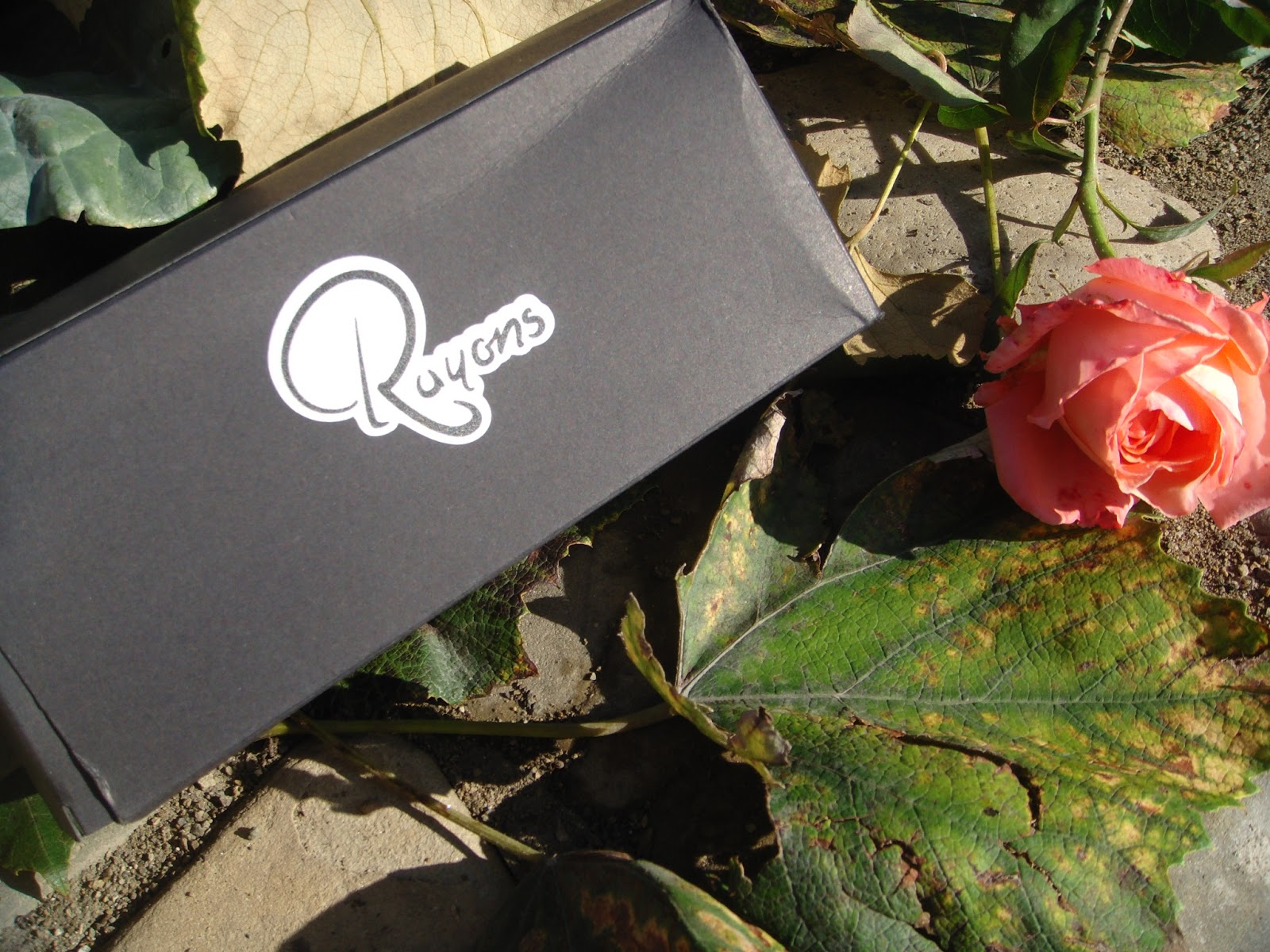 ochelari de soare Rayons