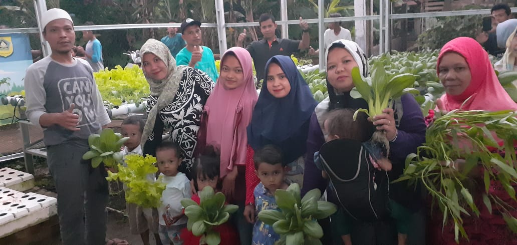 Kaum Ibu Serbu Panen Perdana Sayuran Hidroponik Lembur Hejo