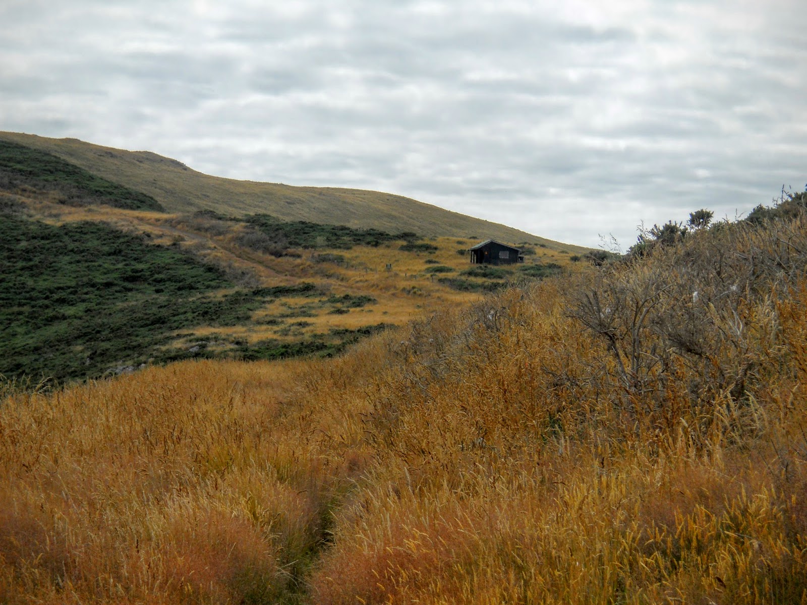 Tramping in the New Zealand backcountry NZ Bush Adventures Seven ways