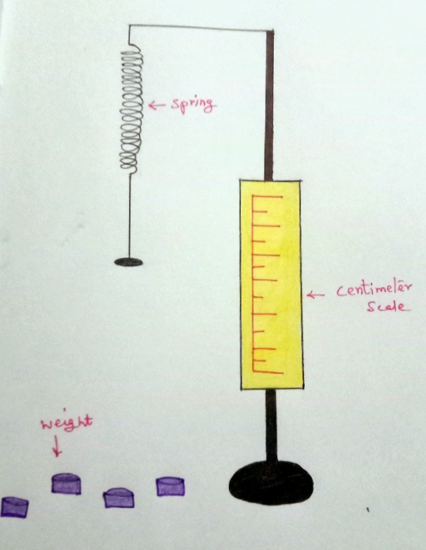 Hooke's Law Spring Constant units Experiment for Science Fair Projects