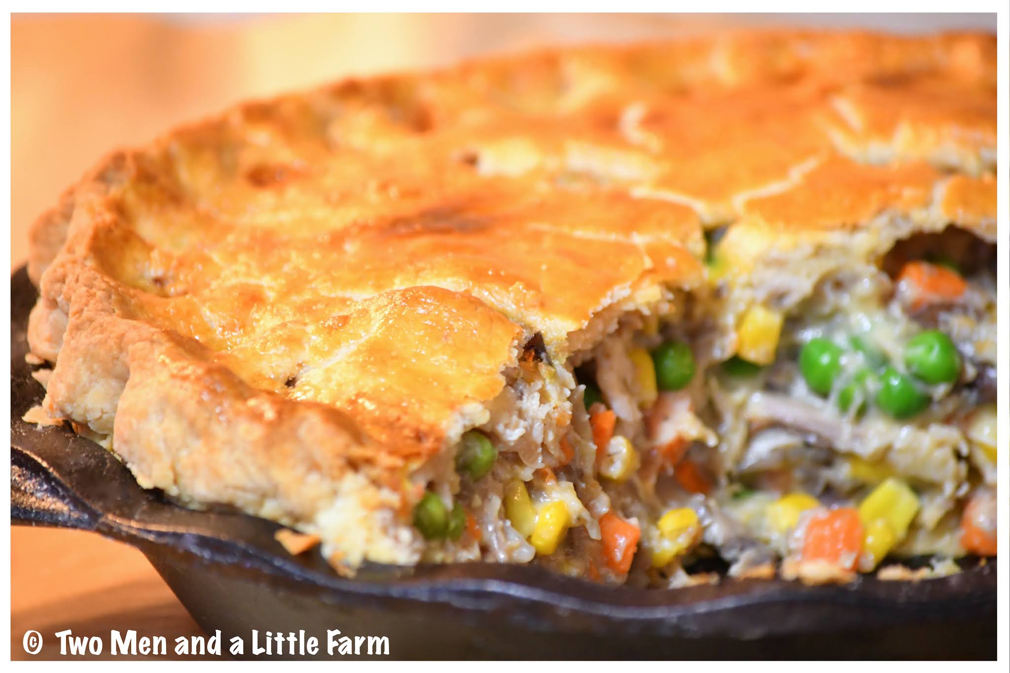 Two Men and a Little Farm: LODGE CAST IRON PIE PAN REVIEW