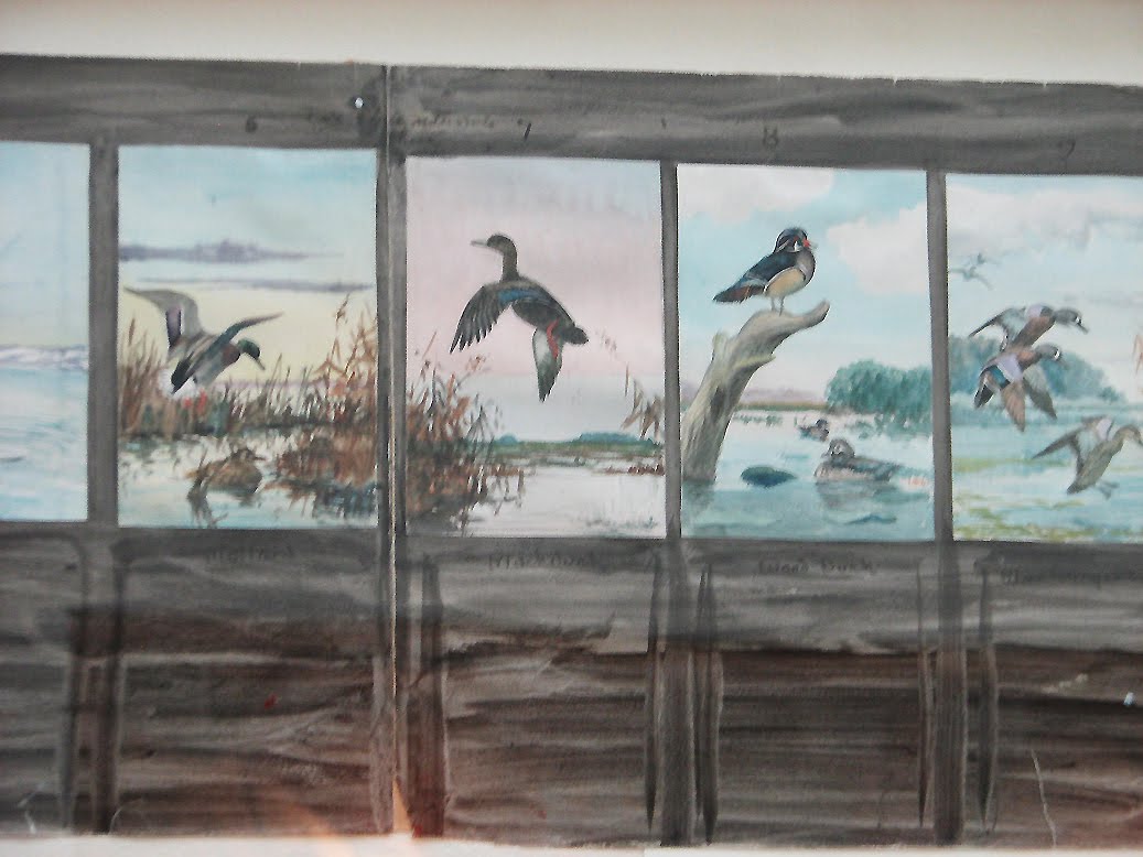 INK-DWELL: CORNELL LAB of ORNITHOLOGY