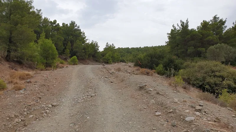 View on track back to the road