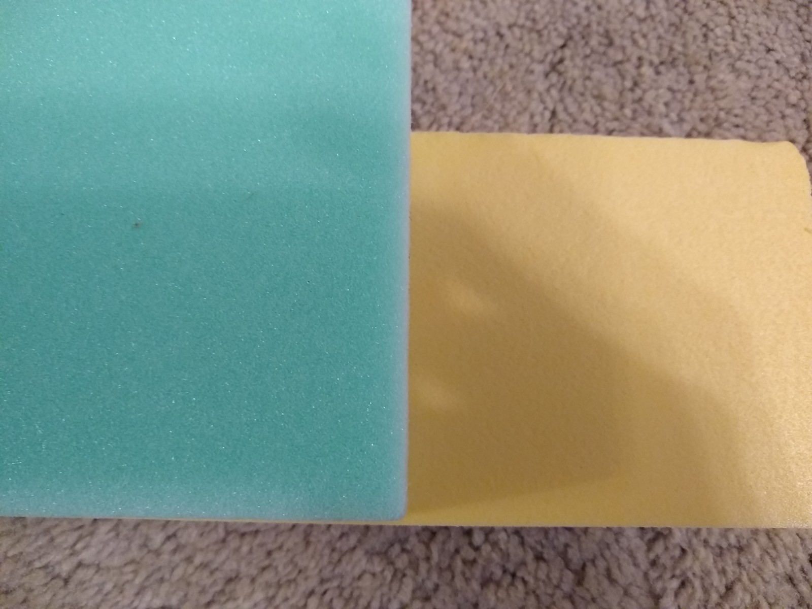Terrain For Hippos Bunnings Foam Knauf Vs. Bastion.