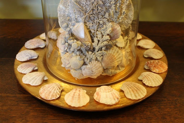 decorating with shells