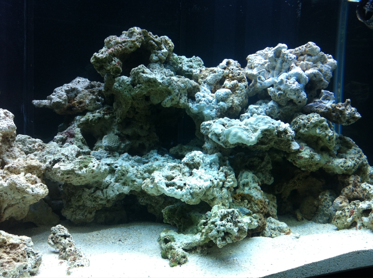 120 Gallon Reef Display: Upgrading
