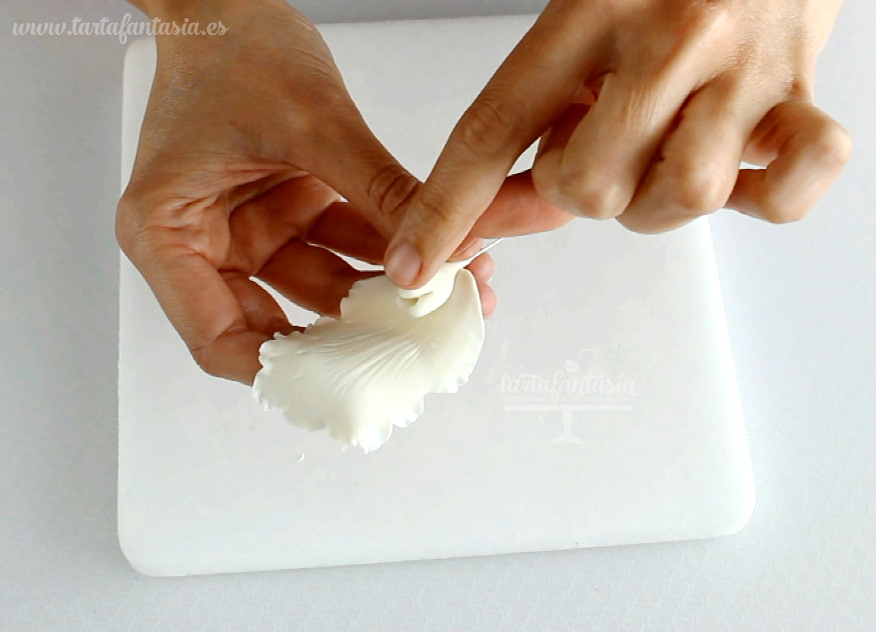 Paso a paso Orquídea