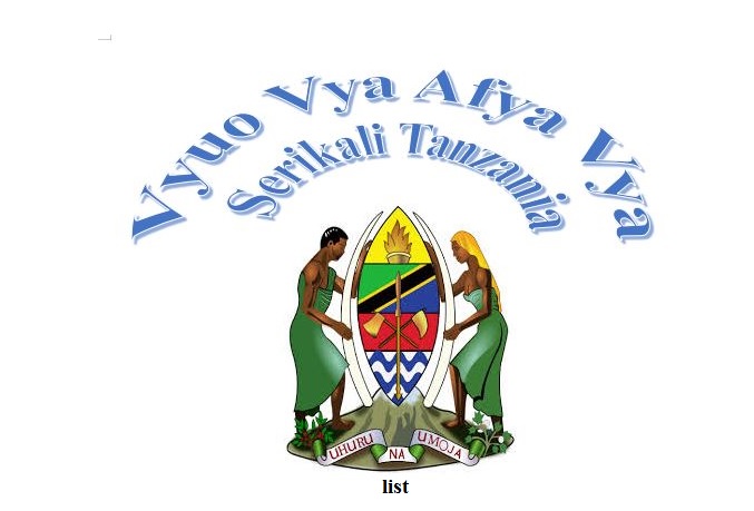 Vyuo Vya Afya Vya Serikali Tanzania