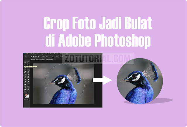 Cara Crop Foto Jadi Bulat Di Photoshop Terbaru Lengkap Gambar Zotutorial