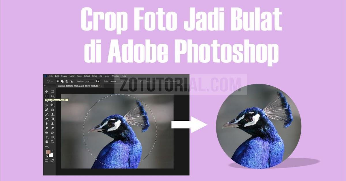 Cara Crop Foto Jadi Bulat di Photoshop Terbaru Lengkap Gambar