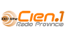 Radio Provincia 100.1 FM