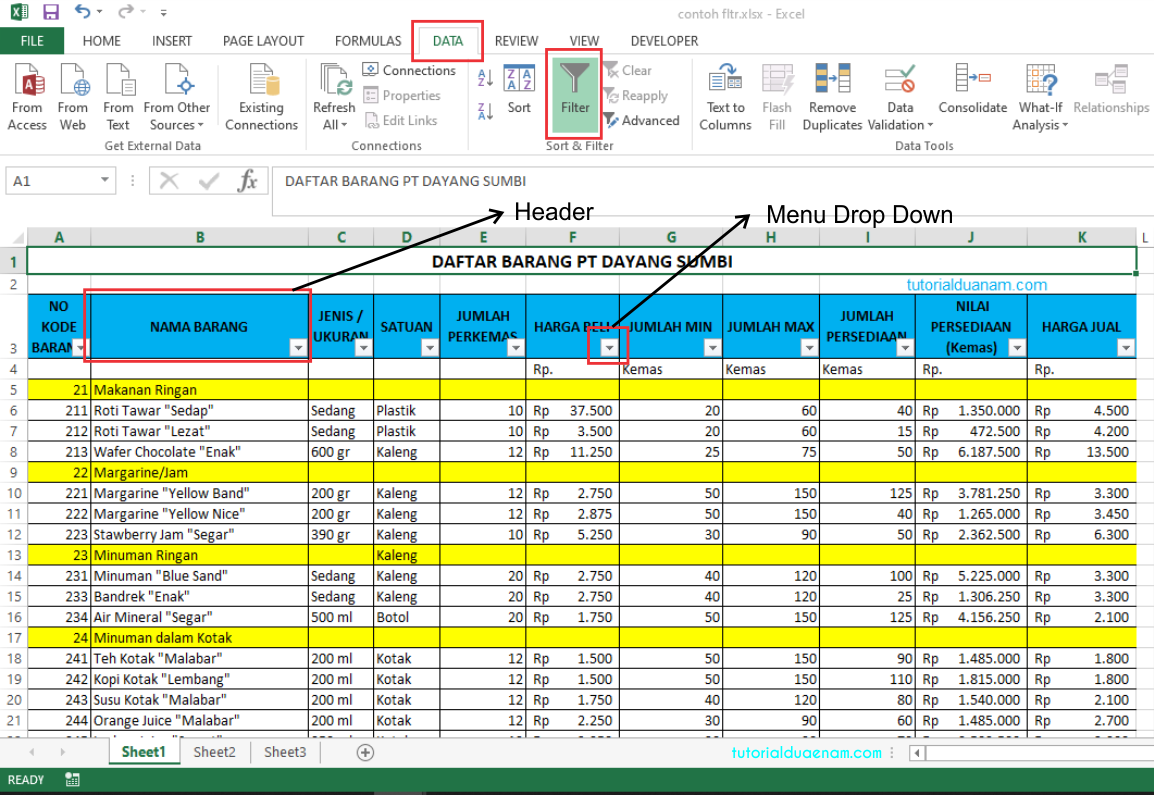 CARA FILTER DATA BEBERAPA KOLOM DI EXCEL 2010