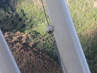 Desert Locusts Invade Parts Of Tiaty Baringo The County