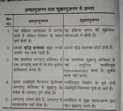 up board class 12 biology imp questions