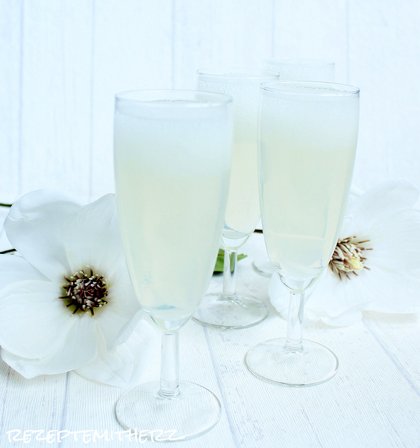 Rezepte mit Herz: Wodka - Prosecco - Sorbet