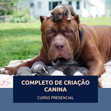 Curso Completo de Criação Canina