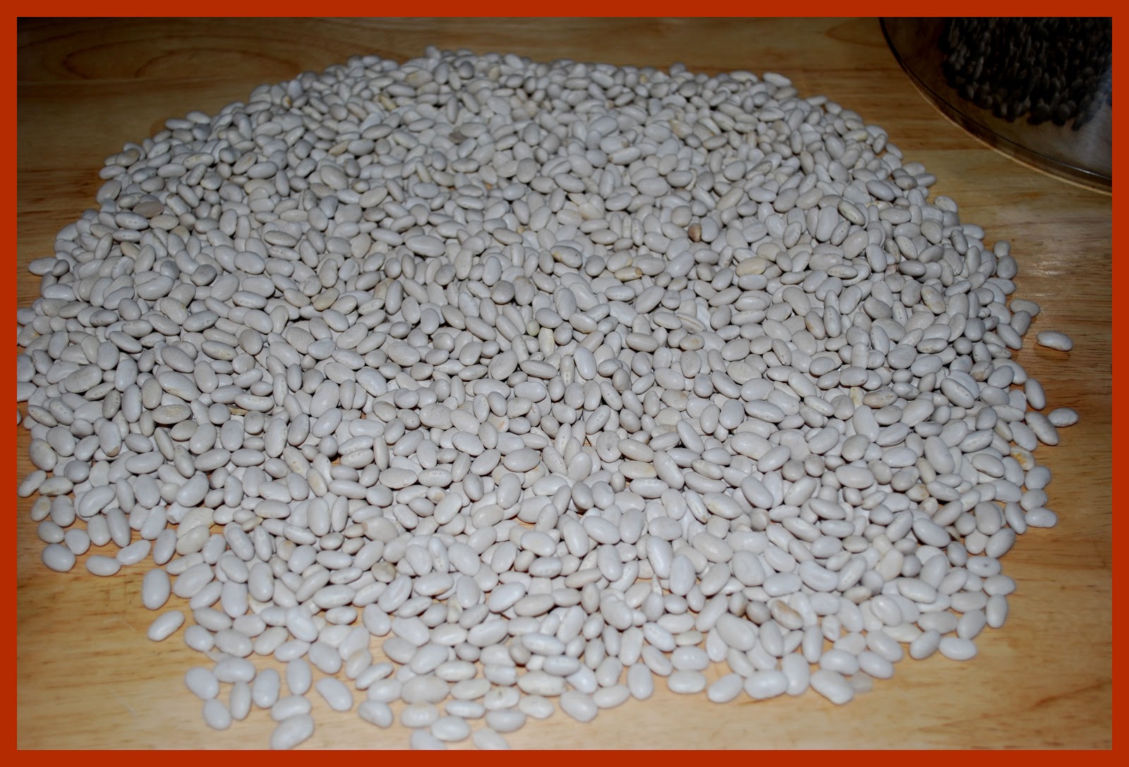 to Kat's Canning Tidbits I hope you enjoy your visit! Why