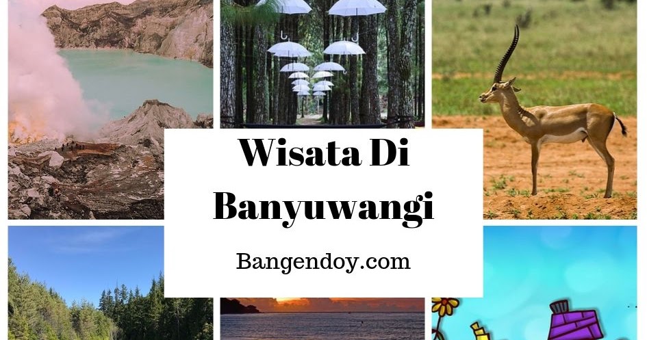 7 Tempat Wisata Di Banyuwangi Yang Lagi Hits Bangendoy