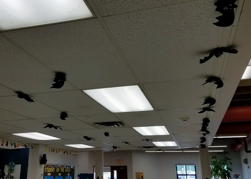 Mrs Pearce S Art Room Painted Bats After Gluing The Wings Onto Their Rolls Students Used White Paint To Add Eyeouth Features Complete Bat