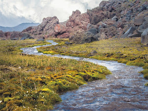Tipos de afluentes: brook, creek, stream, river