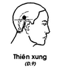 Vị trí huyệt thiên xung
