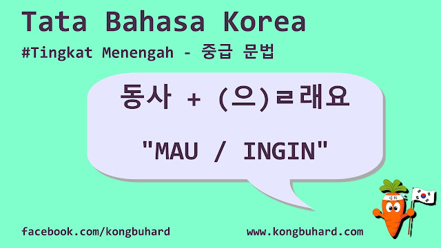 Tata Bahasa Korea: V + (으)ㄹ래요 Mau, Ingin