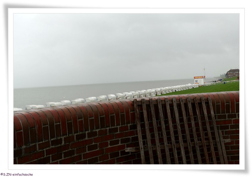 [Hundeblog] Einfach Socke Trotz Regen ist es schön an der Nordsee....