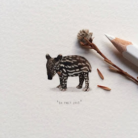08-Baby-Tapir-Lorraine-Loots-Tiny-Art-www-designstack-co