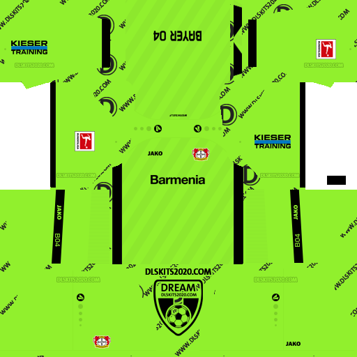 bayer leverkusen dls kit