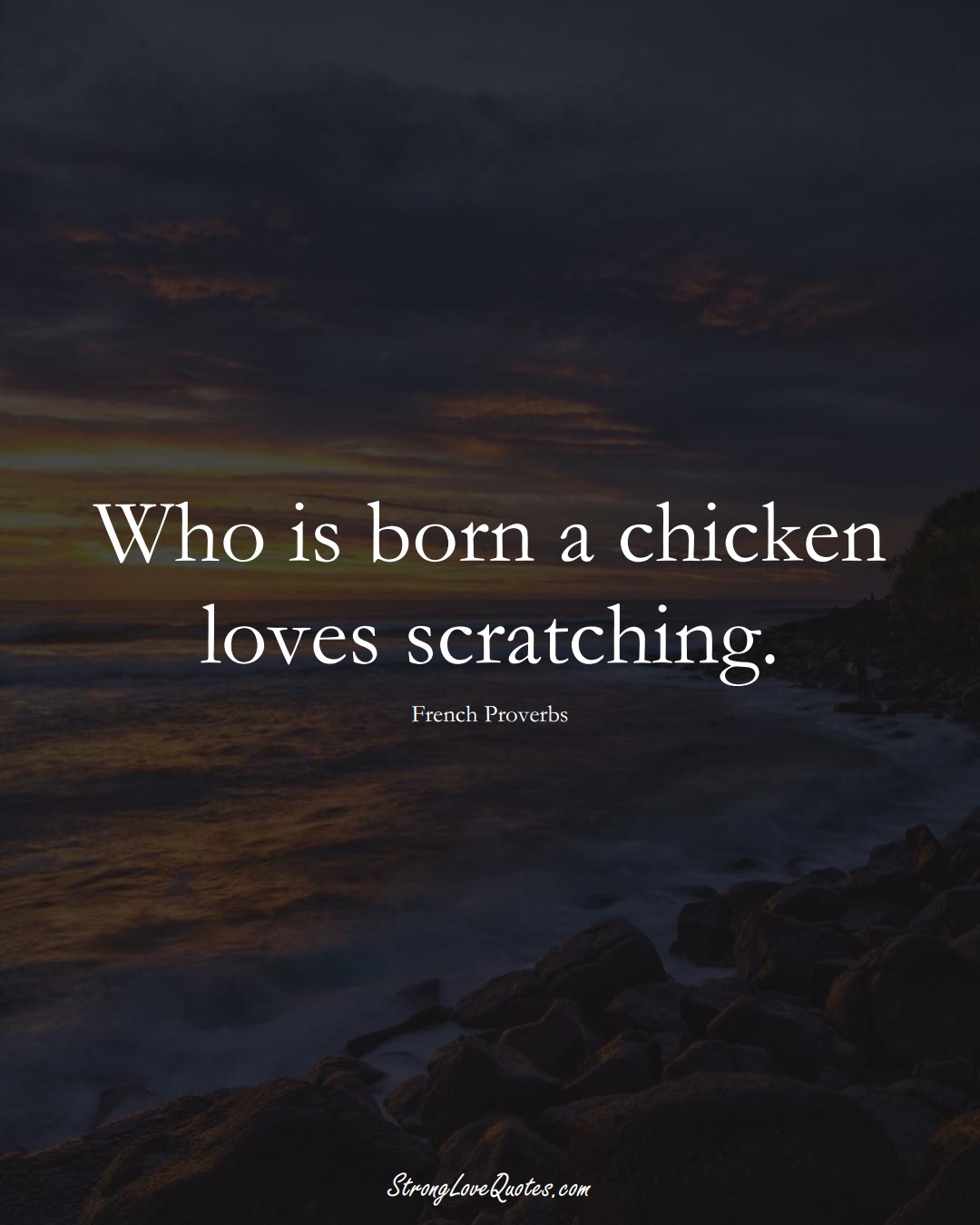 Who is born a chicken loves scratching. (French Sayings);  #EuropeanSayings