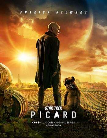 star Trek Picard S01 Hindi 480p Download