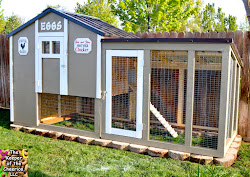 our generation chicken coop 6