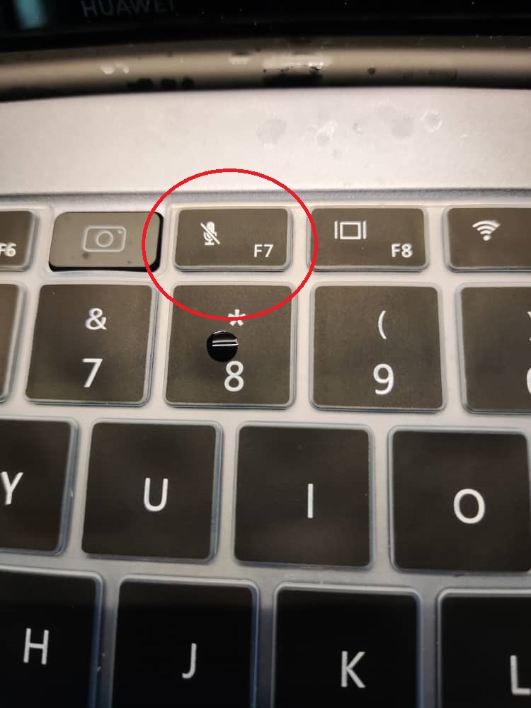 Huawei Laptop with Blue Yeti Microphone not working There's a microphone on/off key at F7 💻