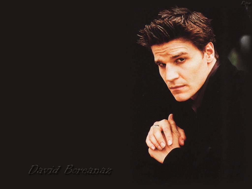 http://1.bp.blogspot.com/-siDd3yoJtY8/TgSsLxHOTpI/AAAAAAAAAVs/-DZpx_MCbHc/s1600/22-david-boreanaz-1024x768.jpg