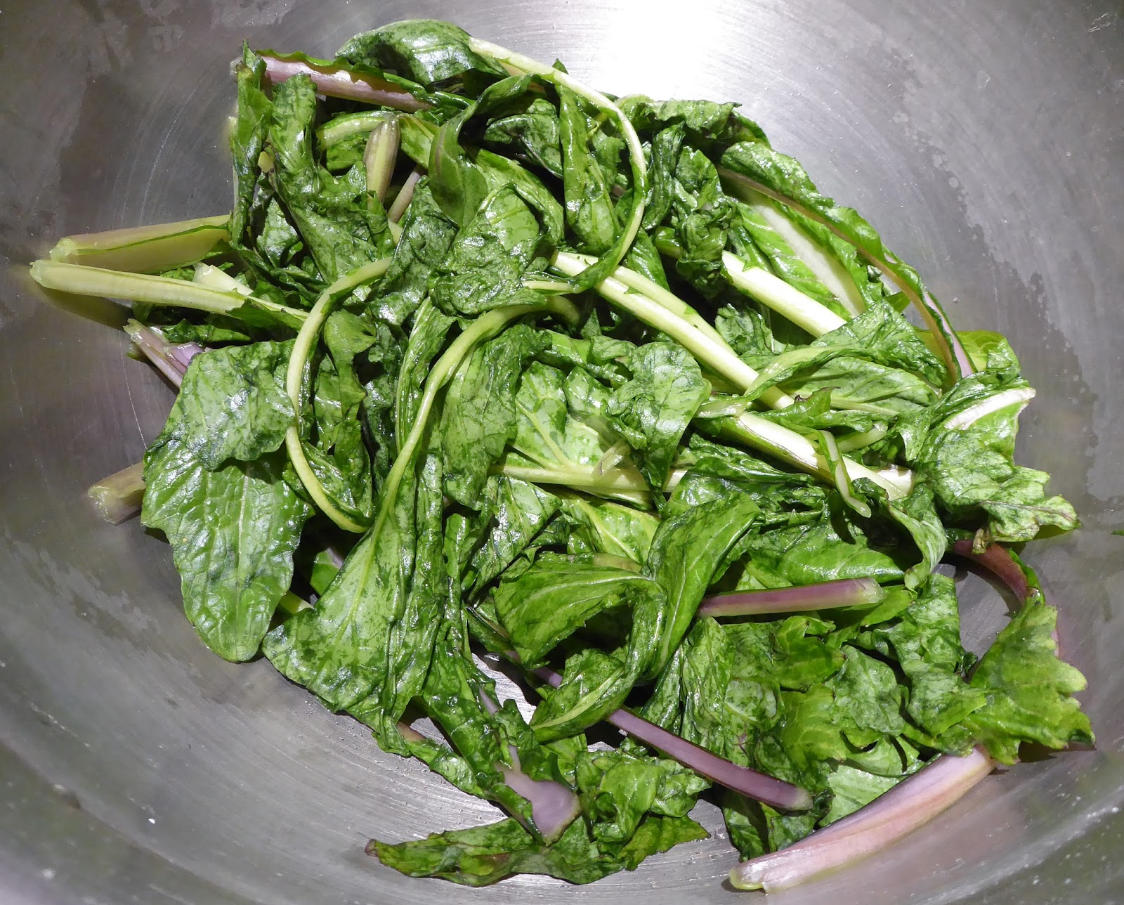 From Seed To Table A Bunch of Mustard Greens