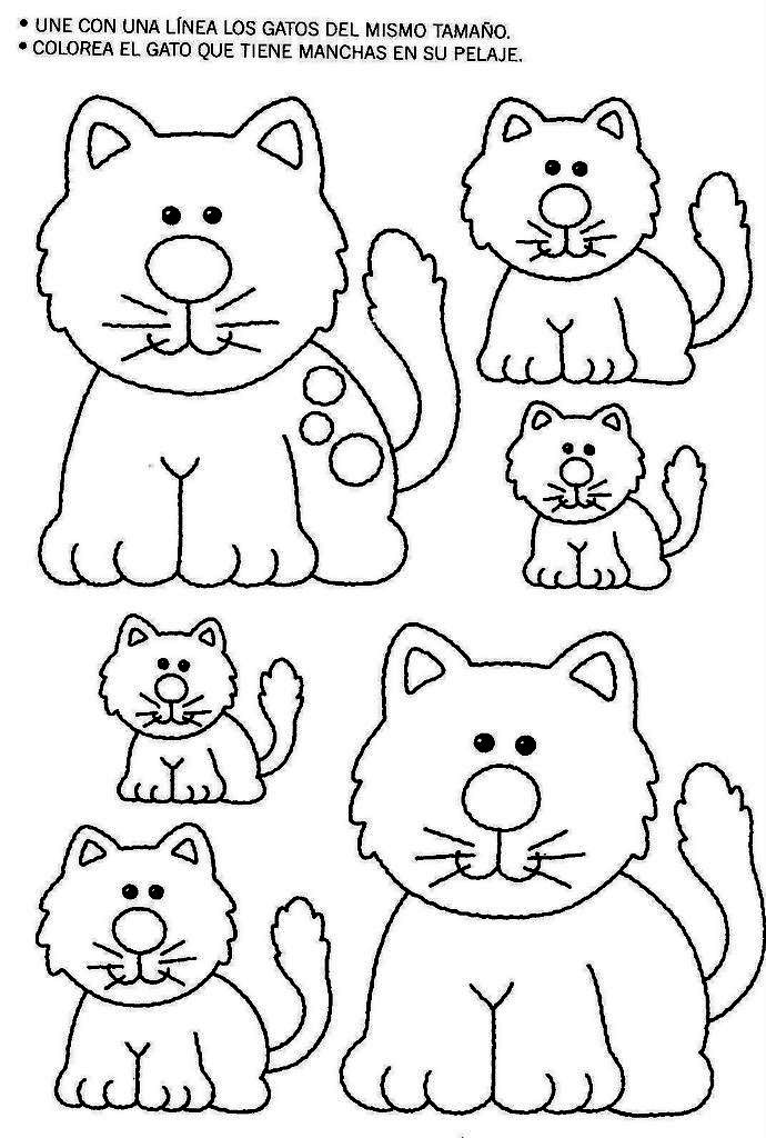 IMEP: Ejercicios para niños de preescolar