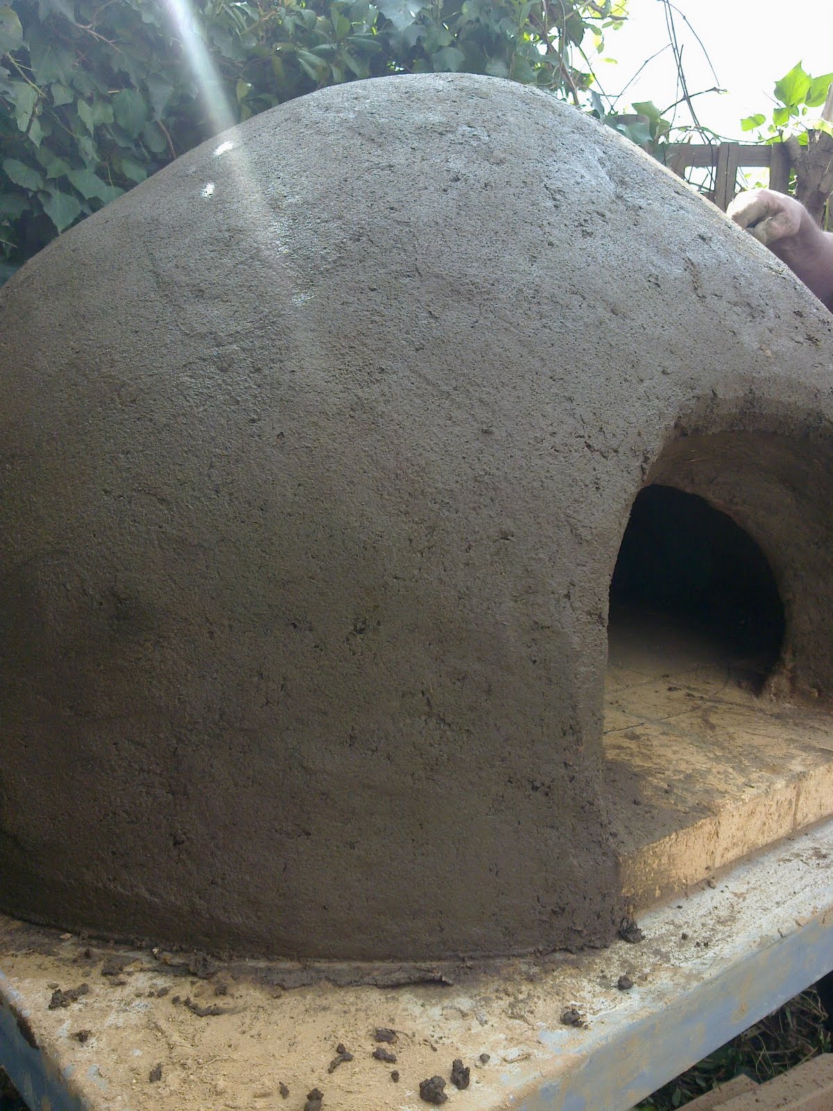 a sculptured life: cow poo, ant hill, red clay.....stomp stomp!