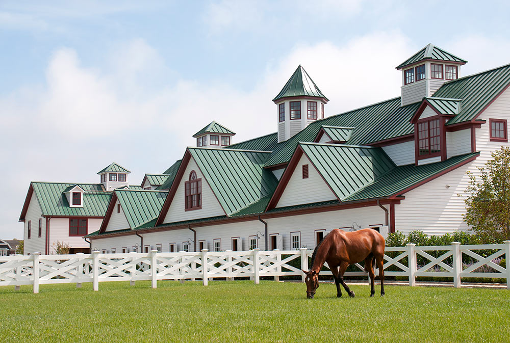 Campbell Stables New York [ Stable Insider ]
