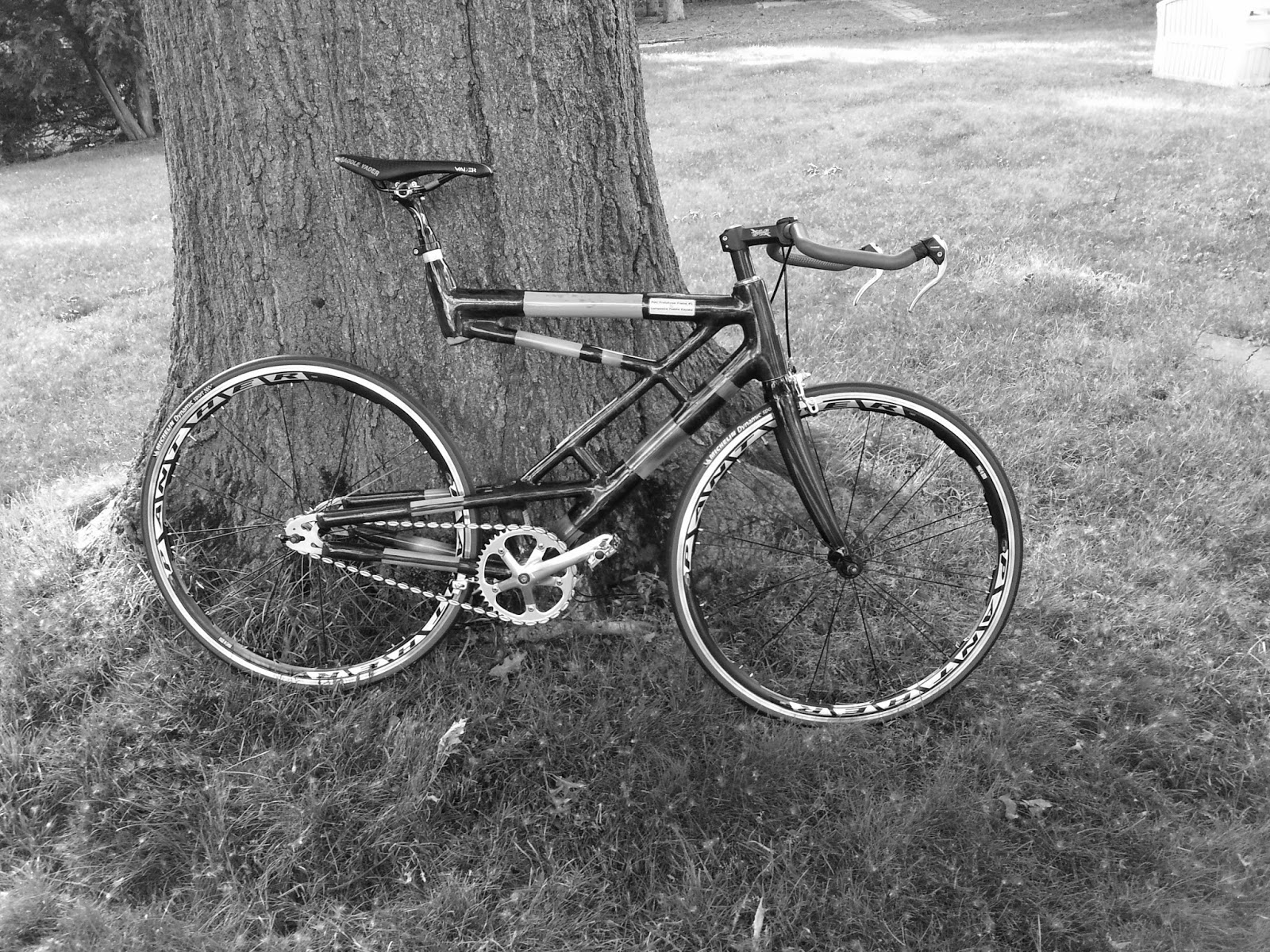 BamBoo Beam Bicycle by BicycleArts