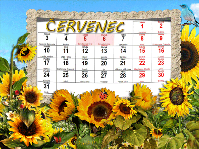Календарь на ноябрь на каждый день Catholic Calendar February 2023