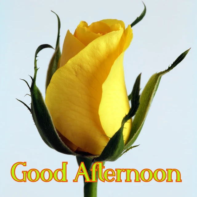 Good Afternoon Image HD Good Afternoon Image HD
